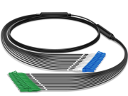 Fibre - Enn nouvo choisir pou dispozer