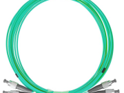 Fiber