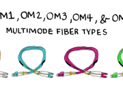 Fiber